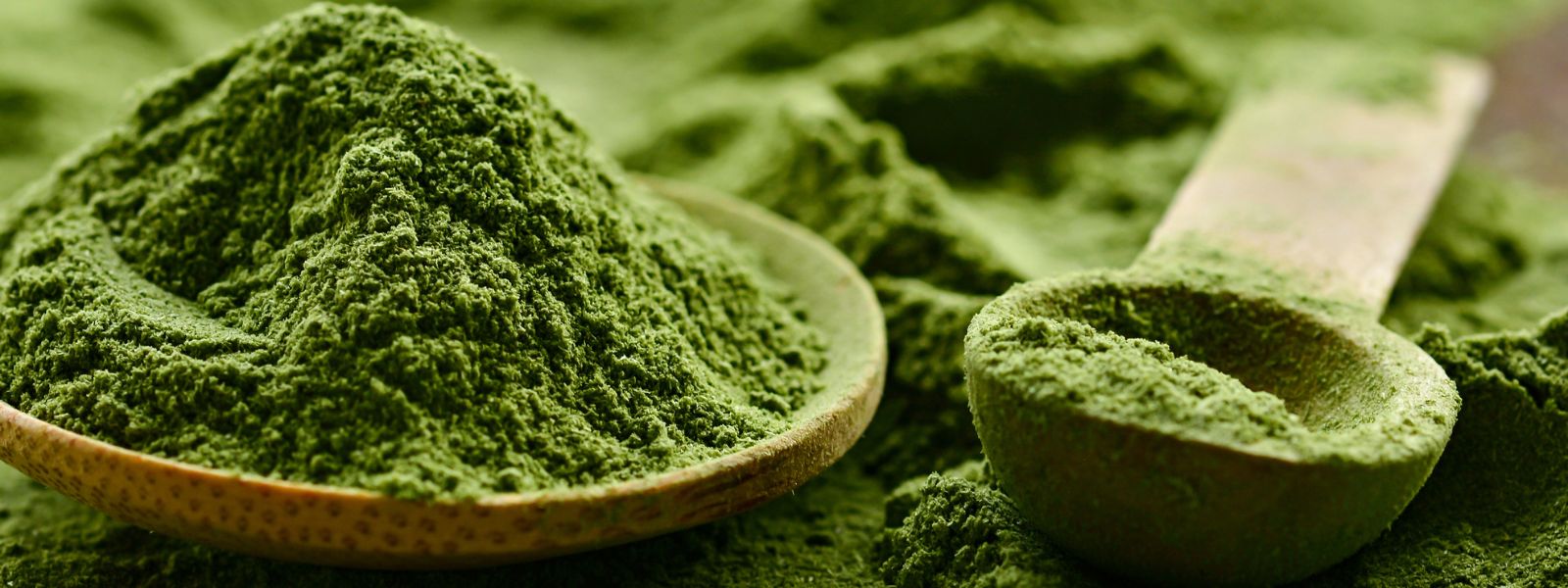 What To Look For In The Best Greens Powder In Australia | GoodMix